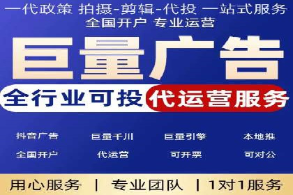 SEM主管实战：案例分析与优化策略